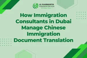 How Immigration Consultants in Dubai Manage Chinese Immigration Document Translation